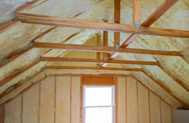 Best Specialty Insulation in Alamo, TX