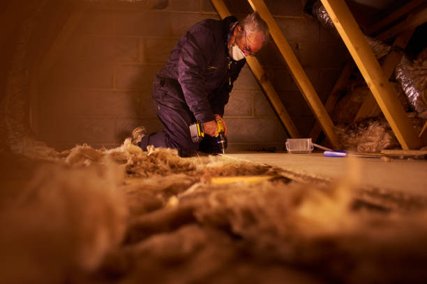 Best Types of Insulation in Alamo, TX