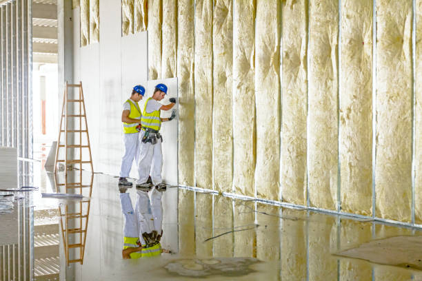 Trusted TX Insulation Contractor Experts